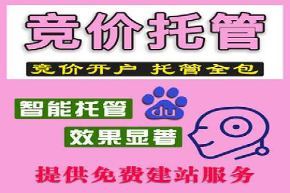 案例分析：托管竞价SEM助力品牌增长